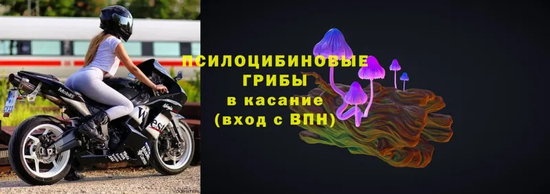 Галлюциногенные грибы мицелий  Юхнов 